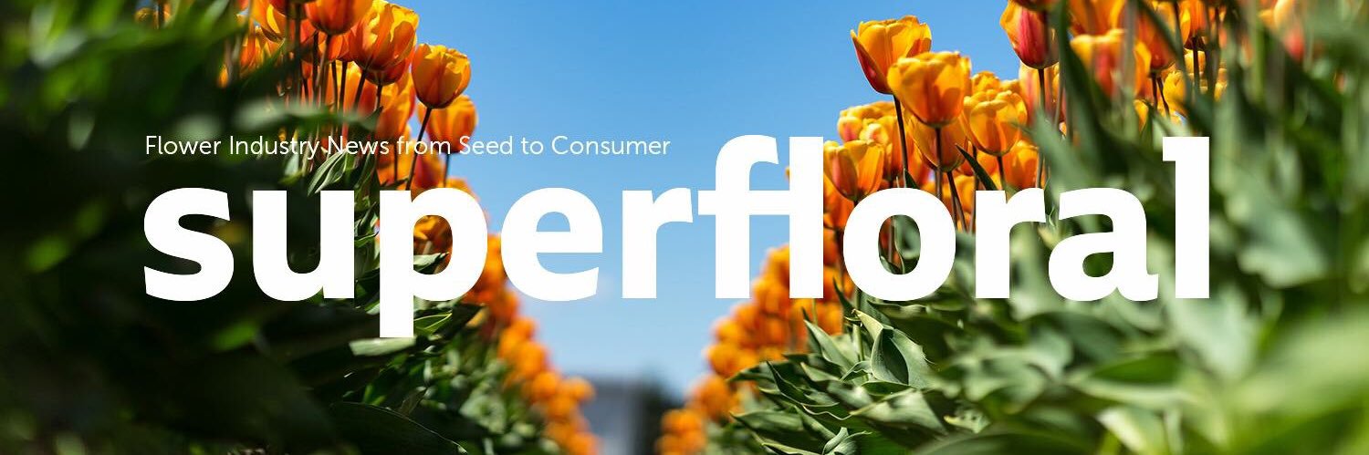 SuperFloral's profile banner image