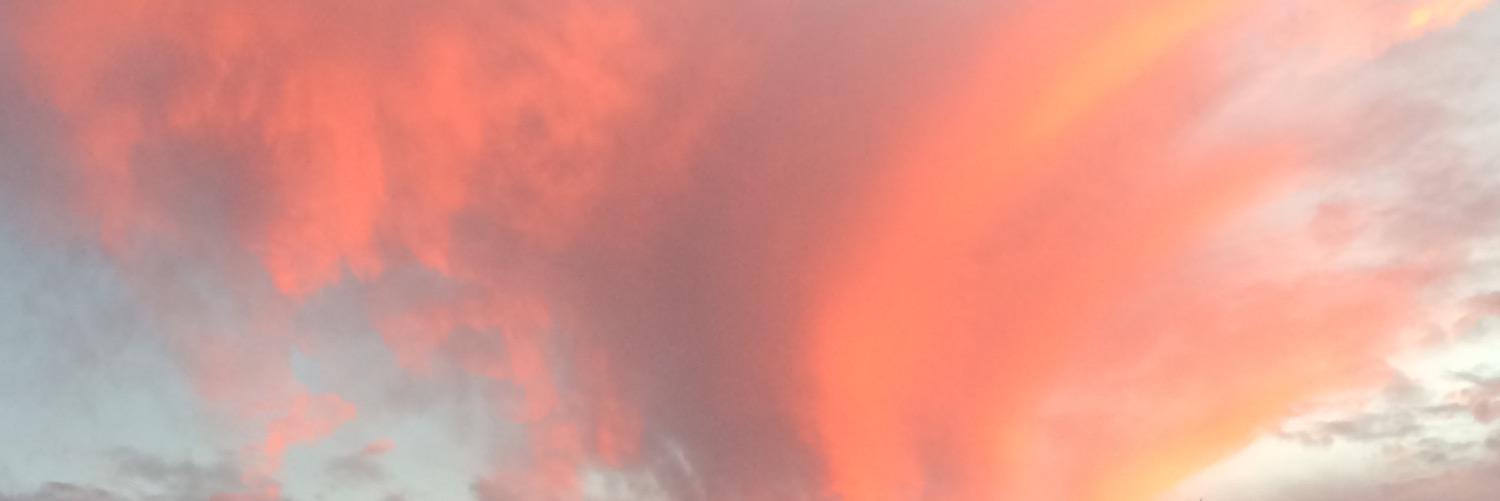 Kate Green Tripp banner