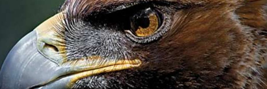 JONESPIYO's profile banner image