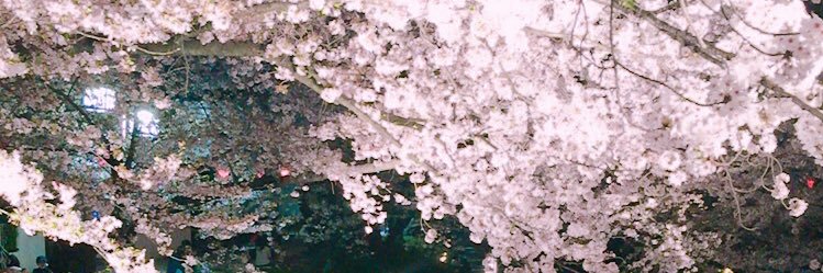 ri11e09's profile banner image