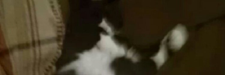 HermaniBattuci's profile banner image