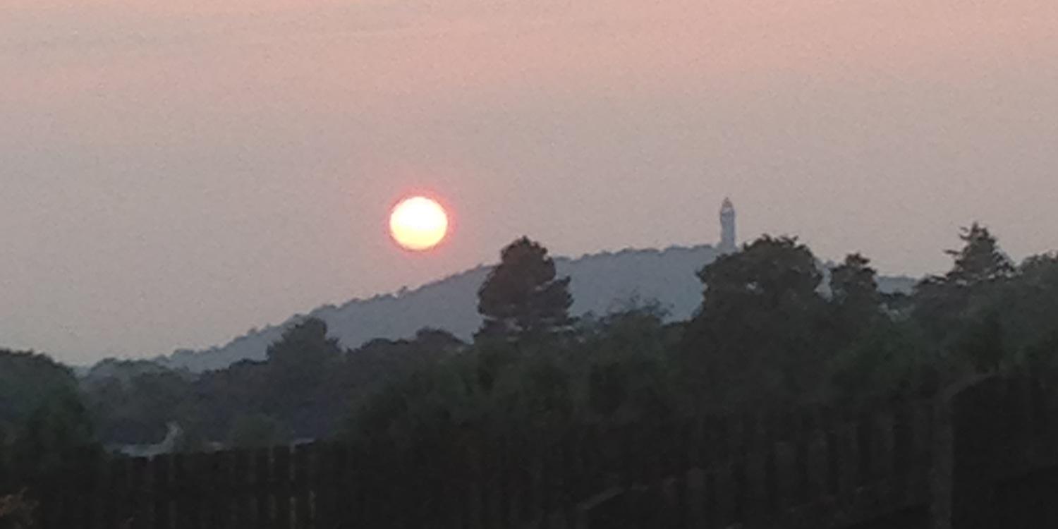 Linds 💜🤍💚 banner