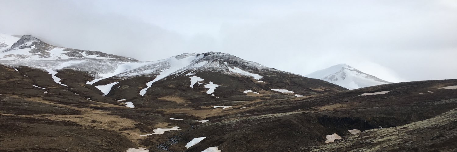 Don MacIntyre banner