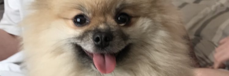 kxtchxnx's profile banner image