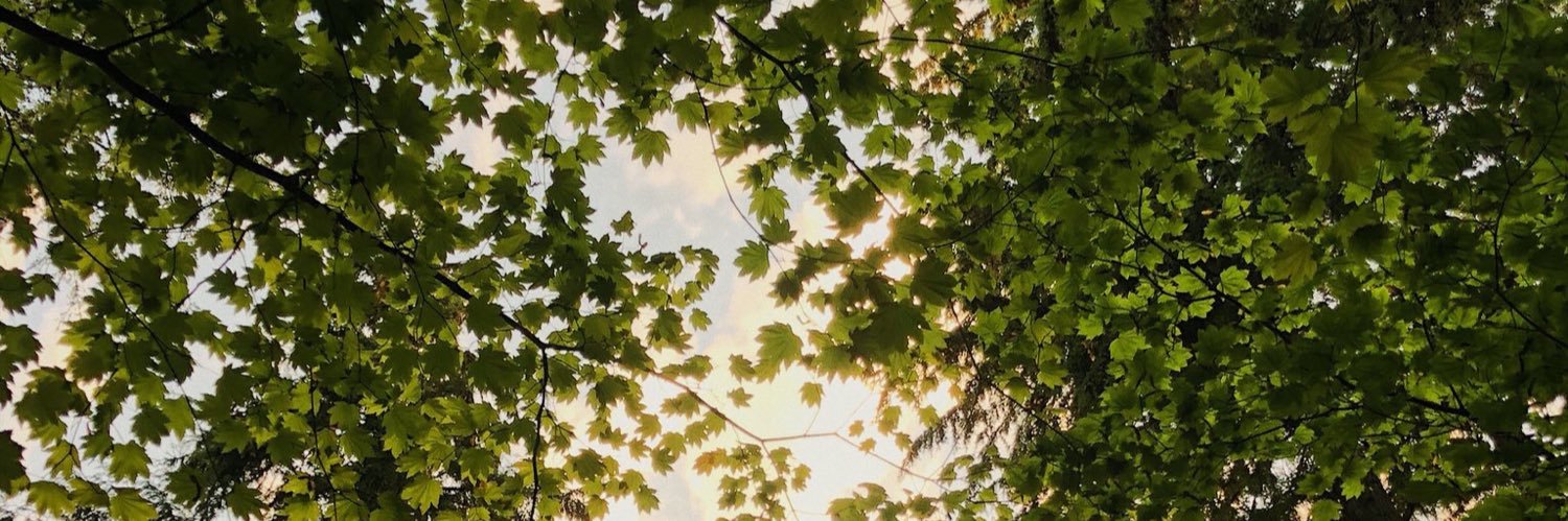 isabelpittman_'s profile banner image