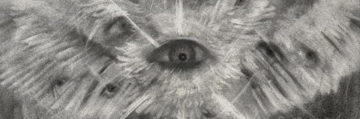 kellicoro's profile banner image