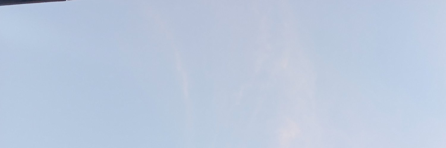 stingsmanx's profile banner image