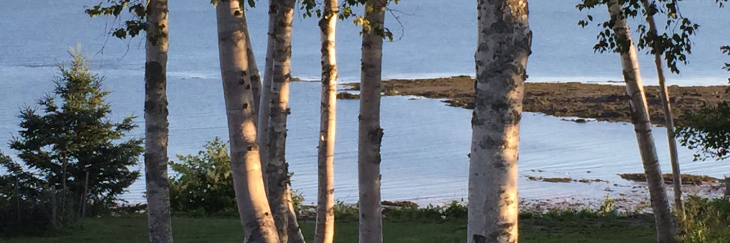johnsonb42's profile banner image