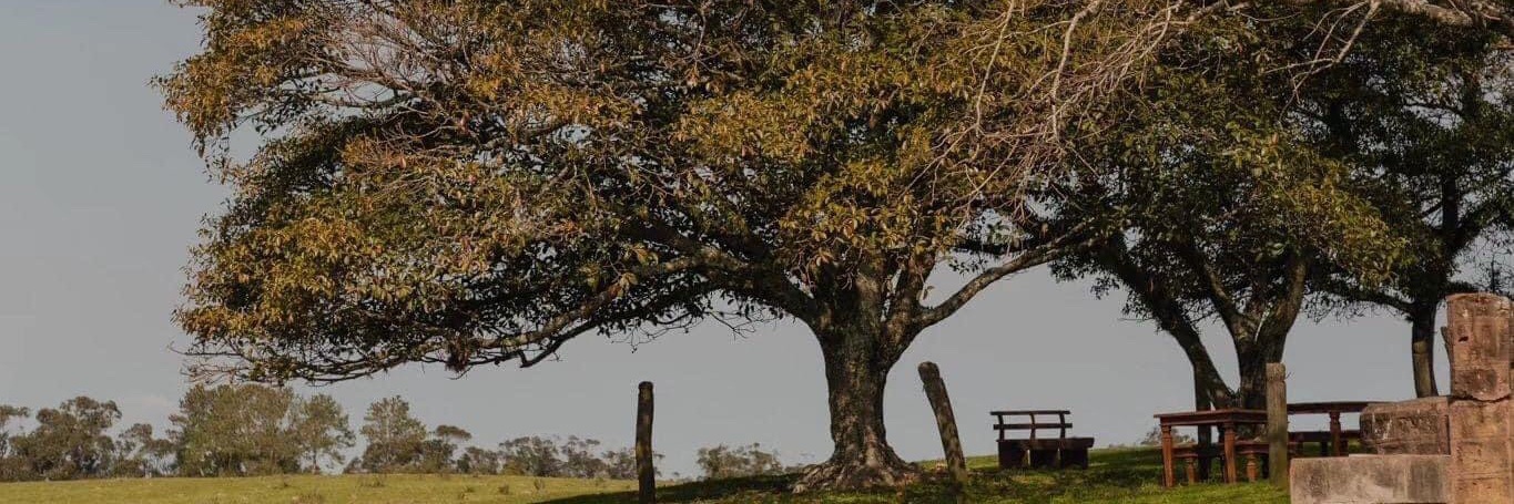 opsjeann's profile banner image