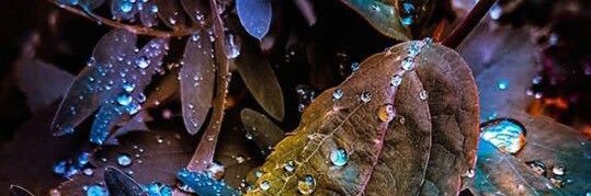 ismaild76's profile banner image