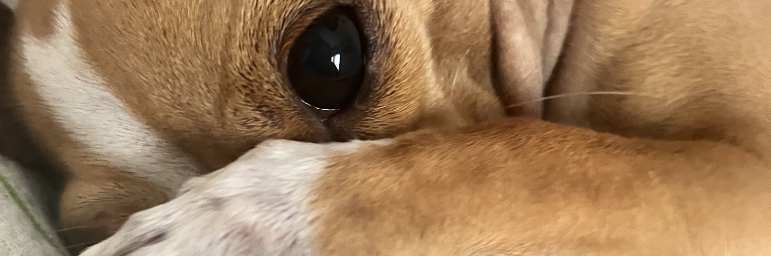 ValePua's profile banner image