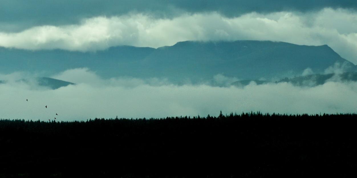 Alex Berryman banner