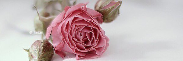 vv900 Profile Banner