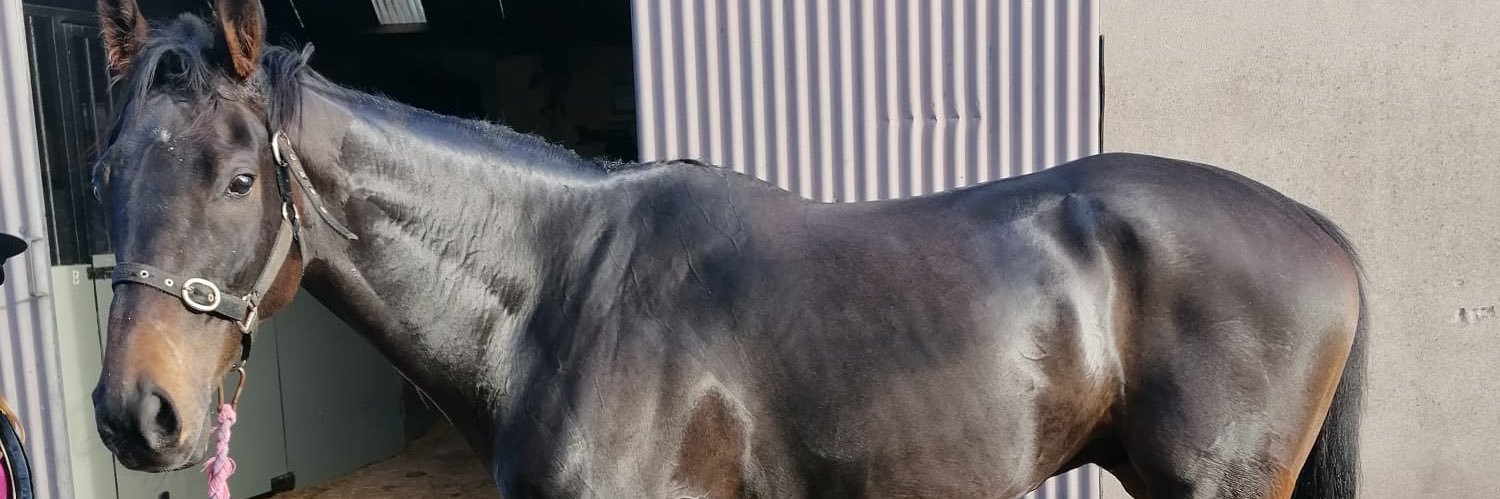 CowieDan's profile banner image