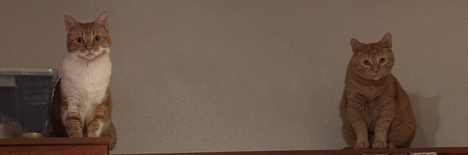 Aaron_Pera's profile banner image