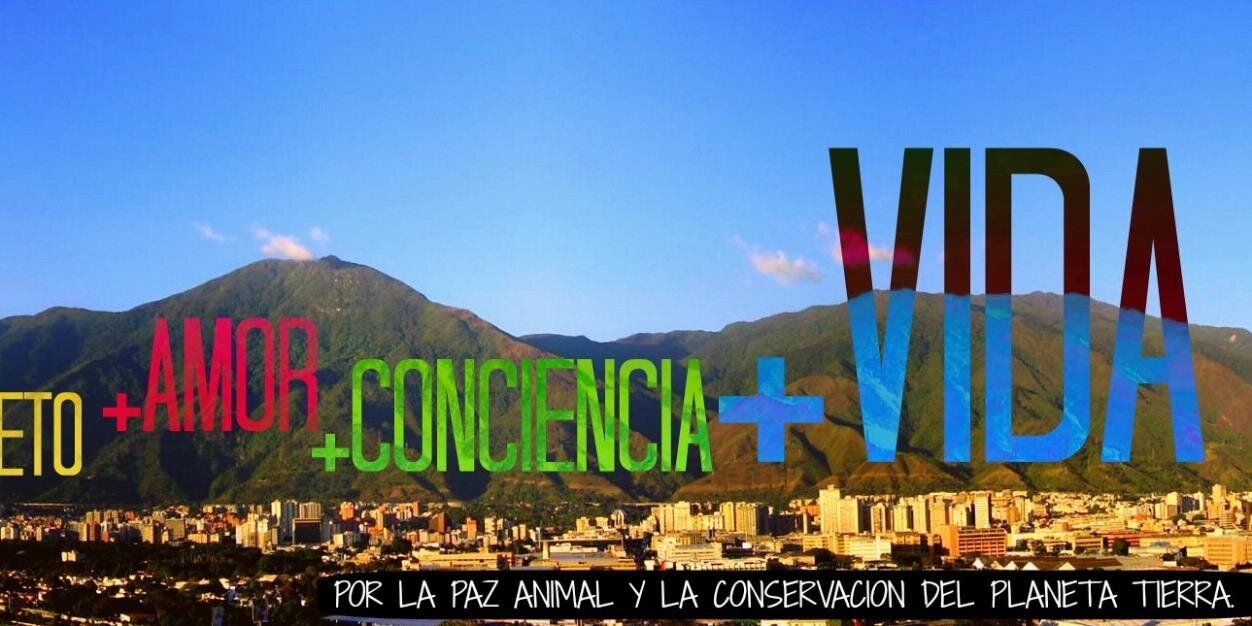 FundacionPSHCaracas banner