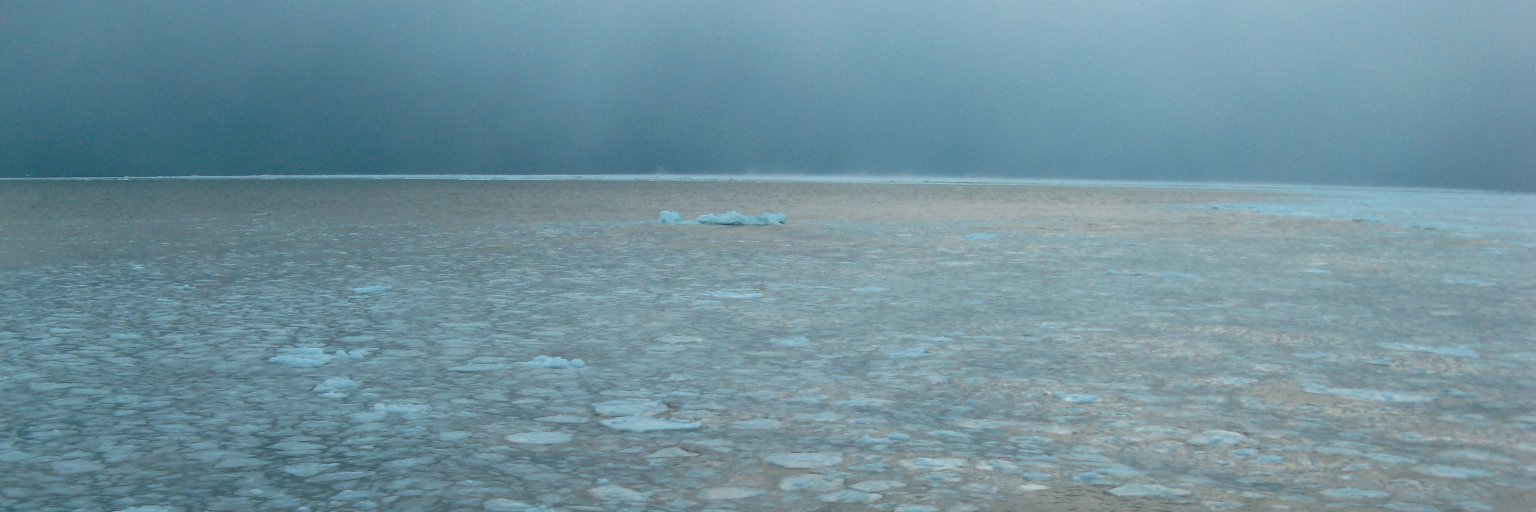 sigridglind's profile banner image