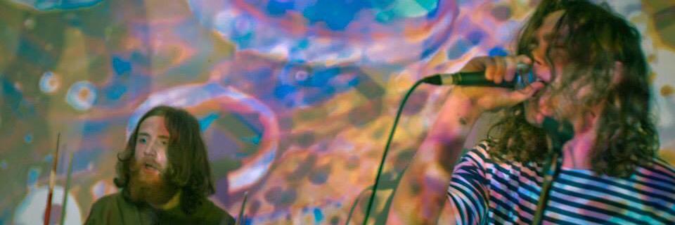 m0retreesplease's profile banner image