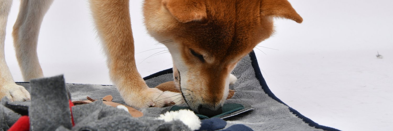 puppiaUS's profile banner image