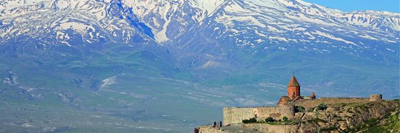 Elmi Hovanisjan banner