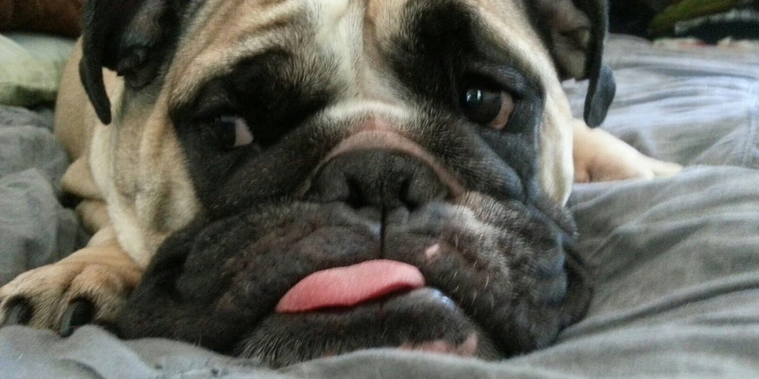 ⚰️Coffin Cole⚰️ banner