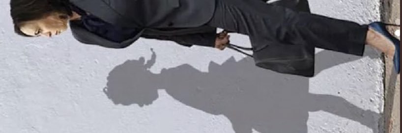 avacohen13's profile banner image