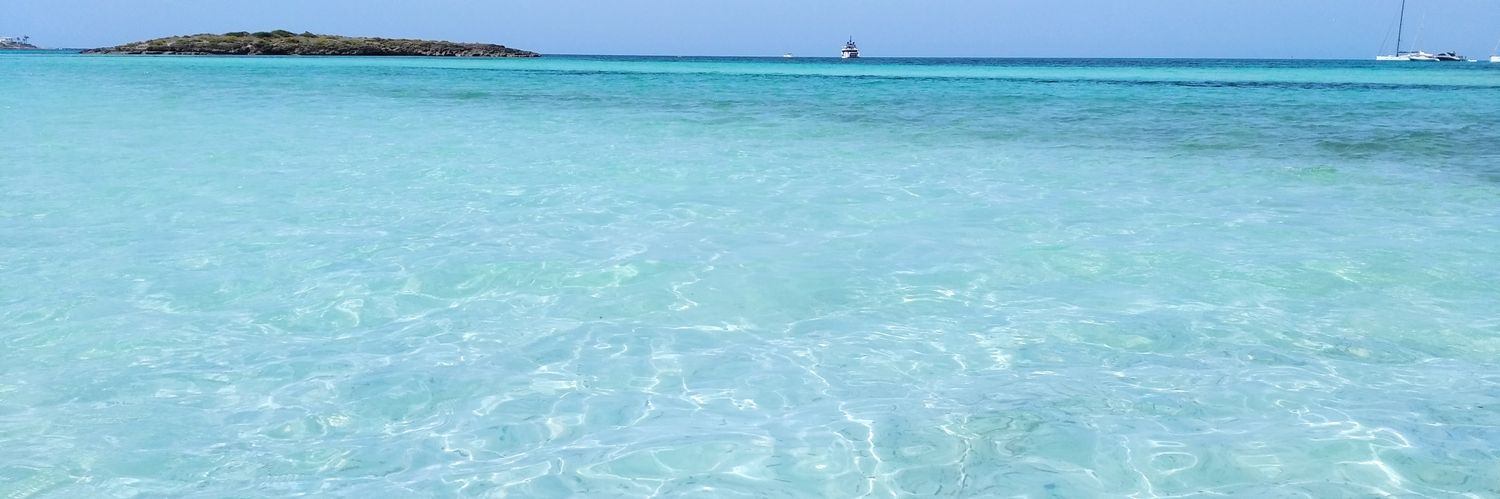 Montse Vallribera banner