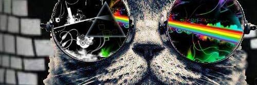 Mike_Dmz's profile banner image