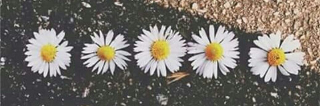 poxa_debbs's profile banner image