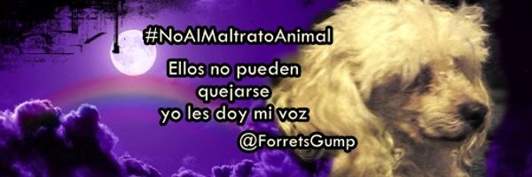 ForretsGump Profile Banner
