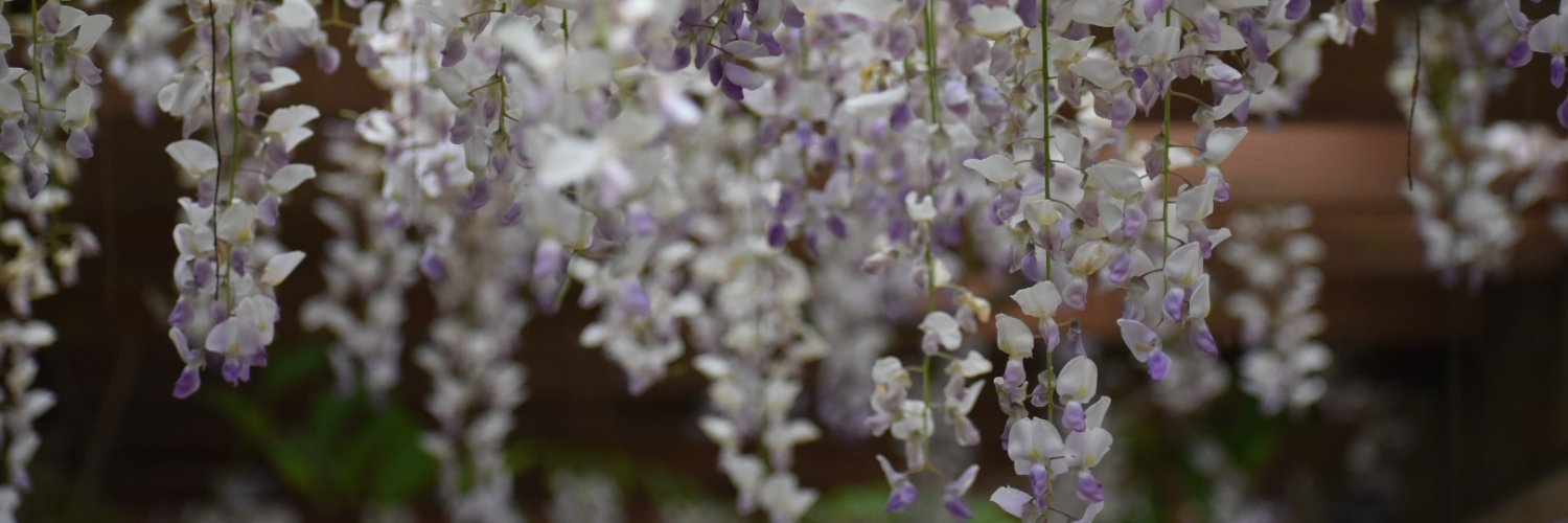 JohnWSheffield2's profile banner image