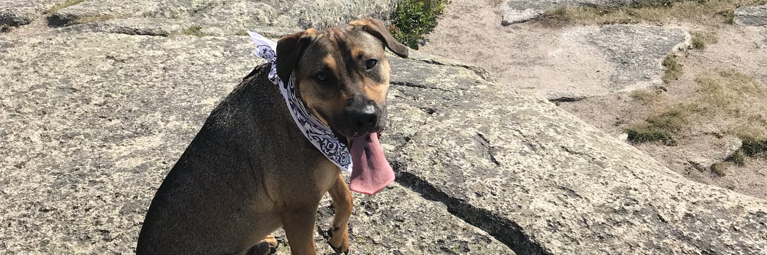 Dr. Alex(andra) Lamb, Ph.D. banner