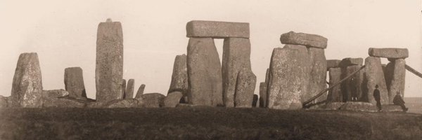 SueDaviesWilts Profile Banner
