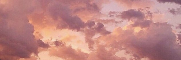 E l i s a ☾. banner