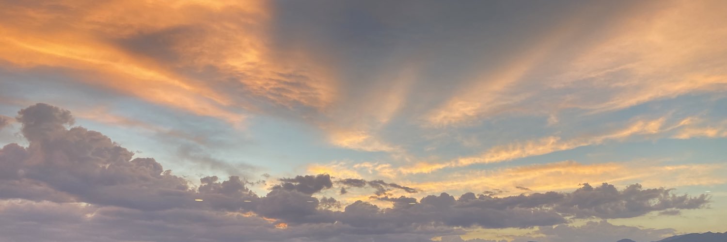 葱's banner