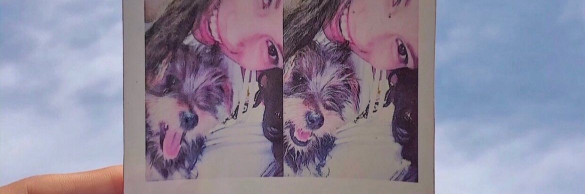 allisonvinas's profile banner image