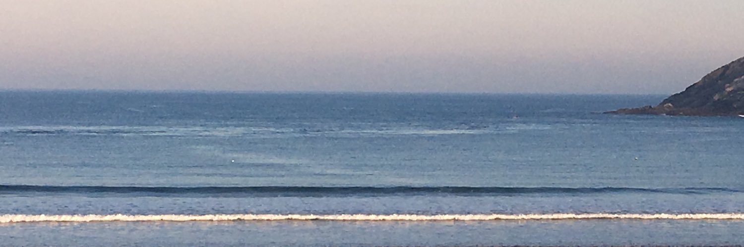 Koldobika Ansoleaga banner