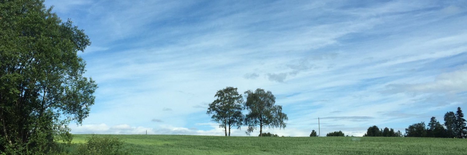 mahmodac's profile banner image