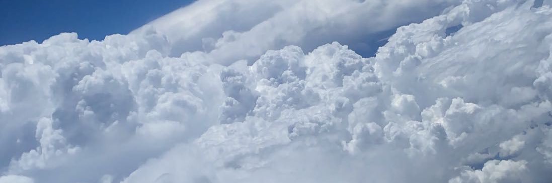 Janglejuicee's profile banner image
