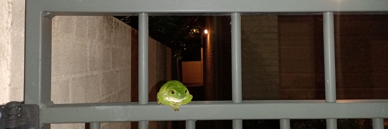 frog left for bsky banner