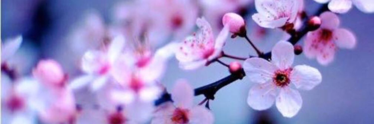 pammy______'s profile banner image