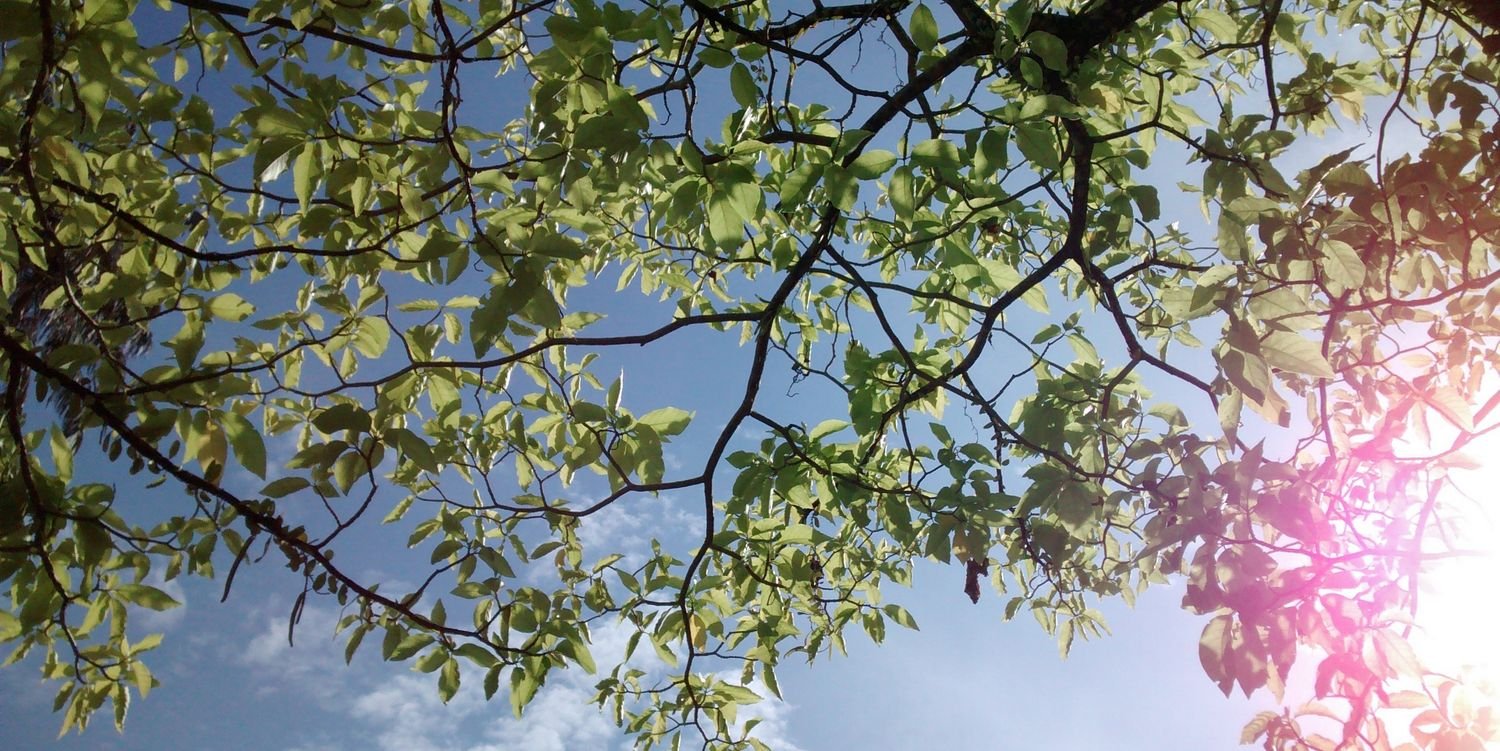 david_teow's profile banner image