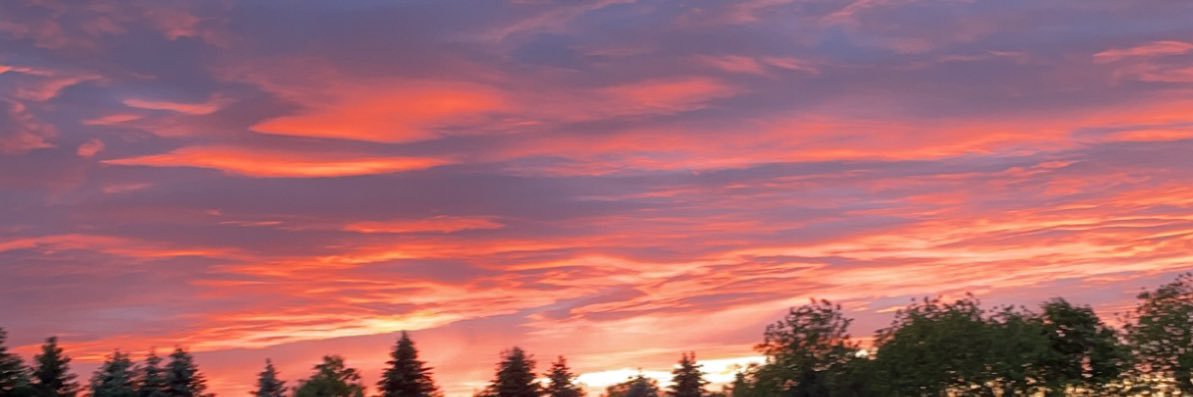 MeaghanRowader's profile banner image