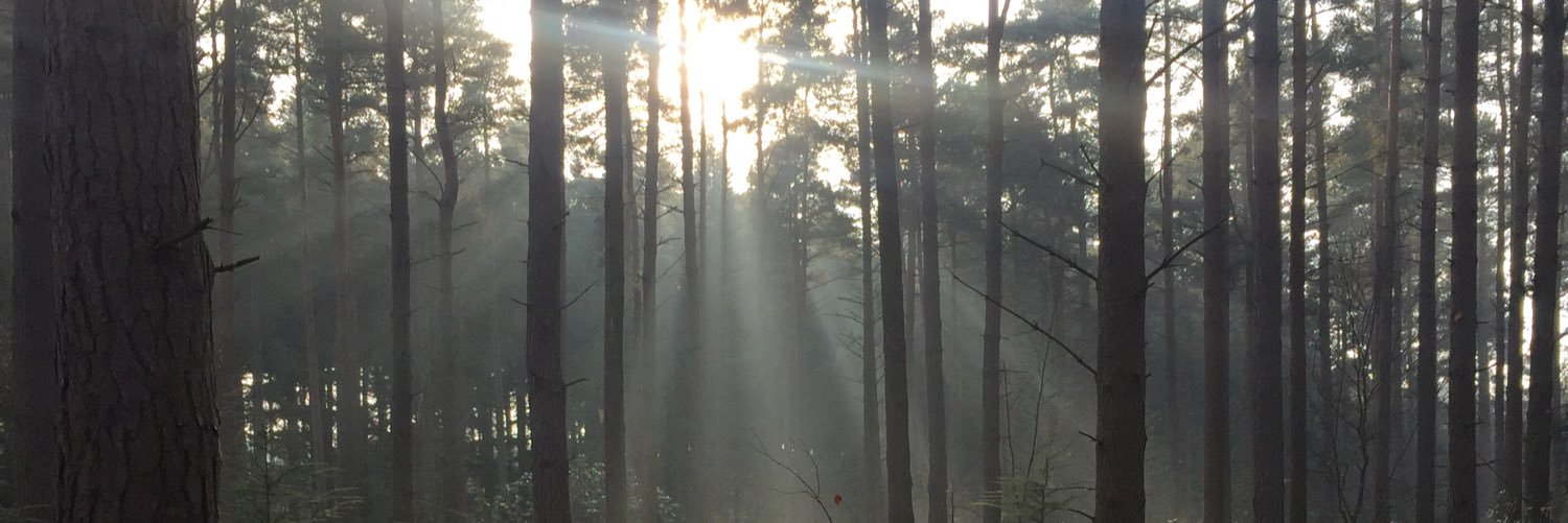 JohnButcher6's profile banner image