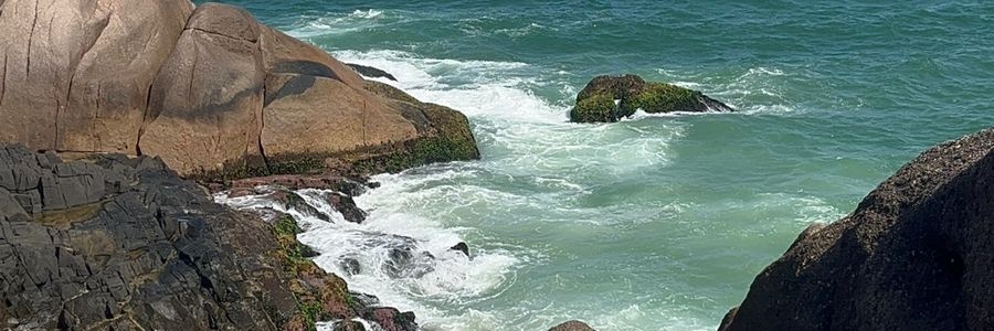 vikylizzi1's profile banner image