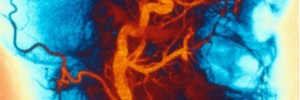 FeliciaVaz Profile Banner