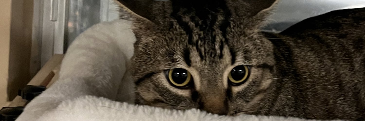 scrub_samuel's profile banner image