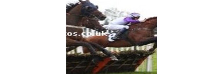 dokeeffe18's profile banner image