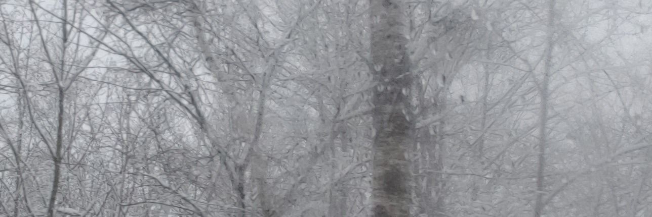 Mayhew__'s profile banner image