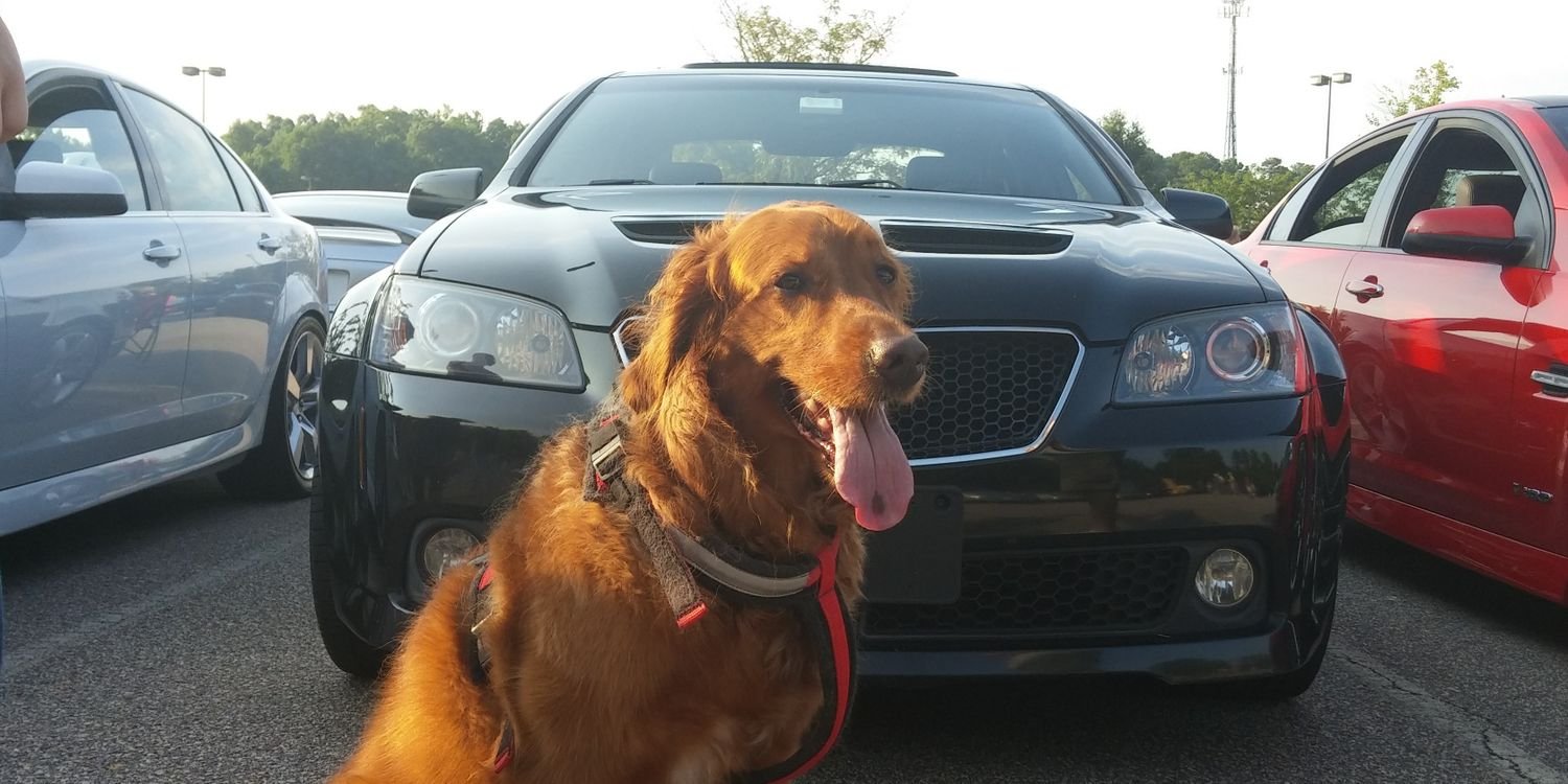 Christopher Douglas banner